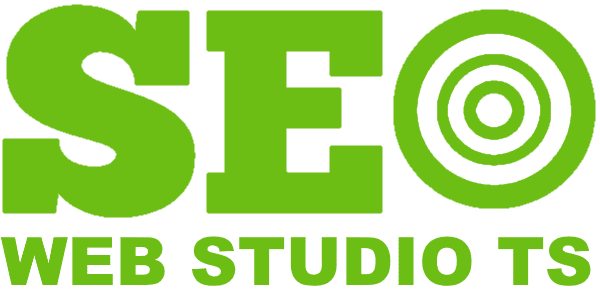 Web studio TS